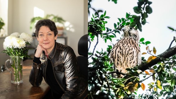 HelenMacdonald_(c)_TomOliverLucas__Jungfalke_(c)_Kathrin Schulthess
